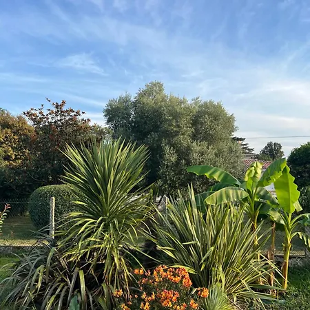 펜션 Nature, Calme Et Canal Du Midi A Portee De Main *